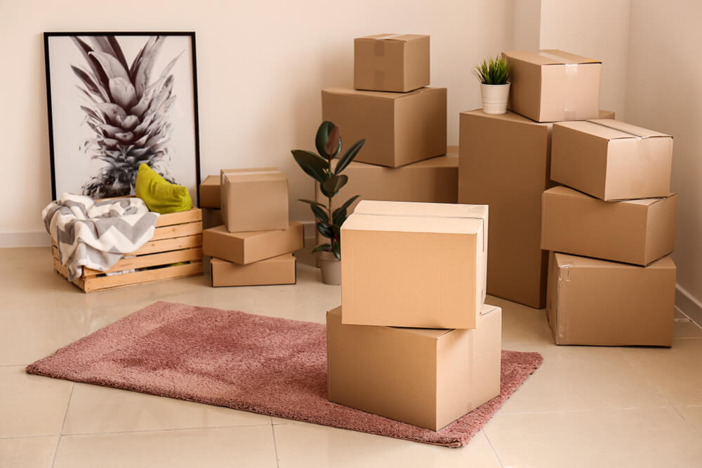 House Removals